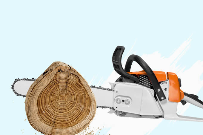 Webshop of Napvitorladiszkont