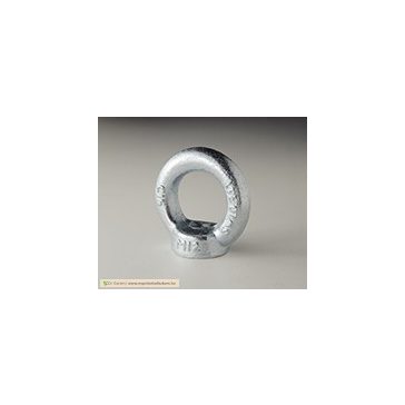 Ringbolzen